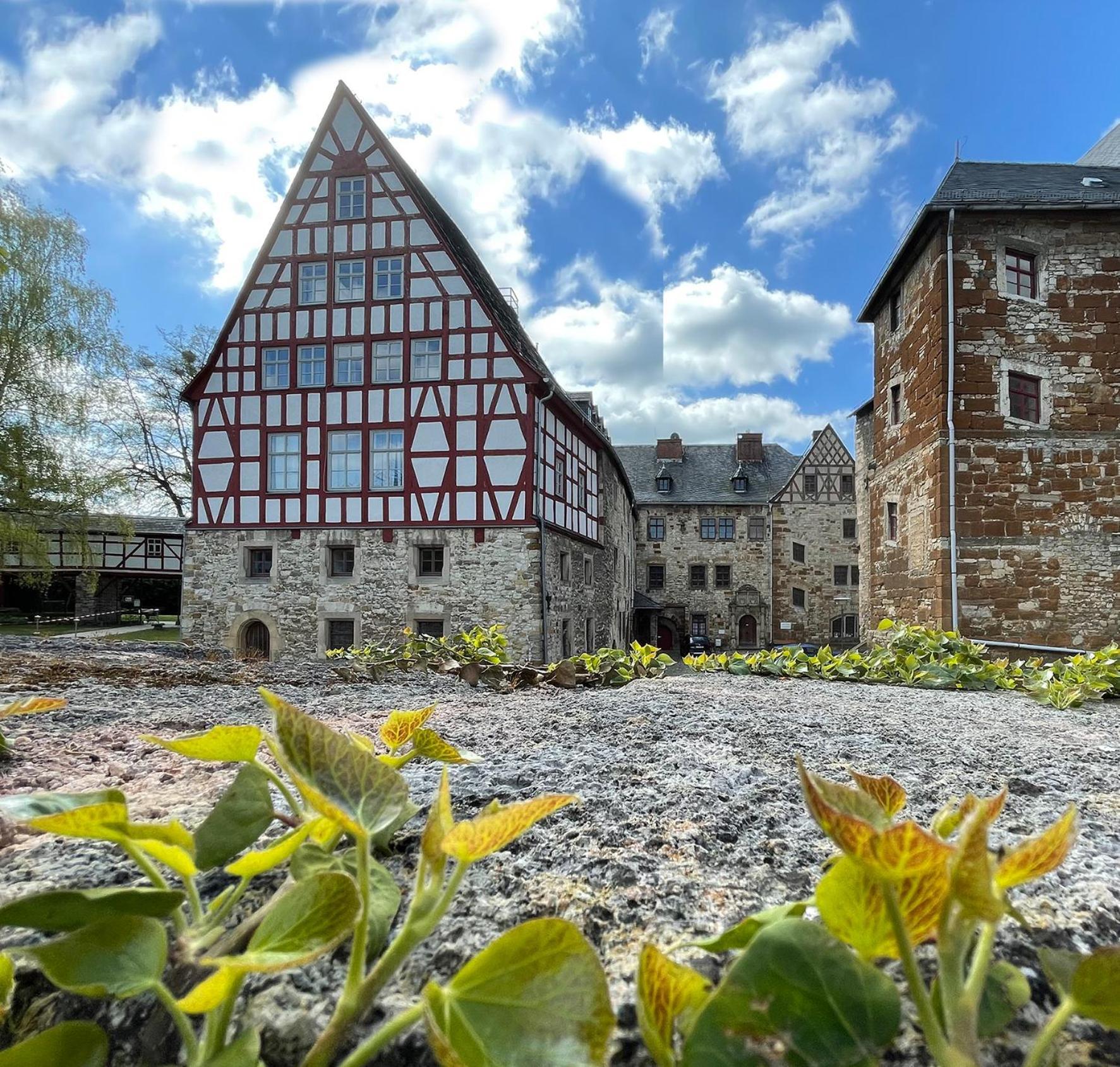 Schloss Beichlingen Buitenkant foto