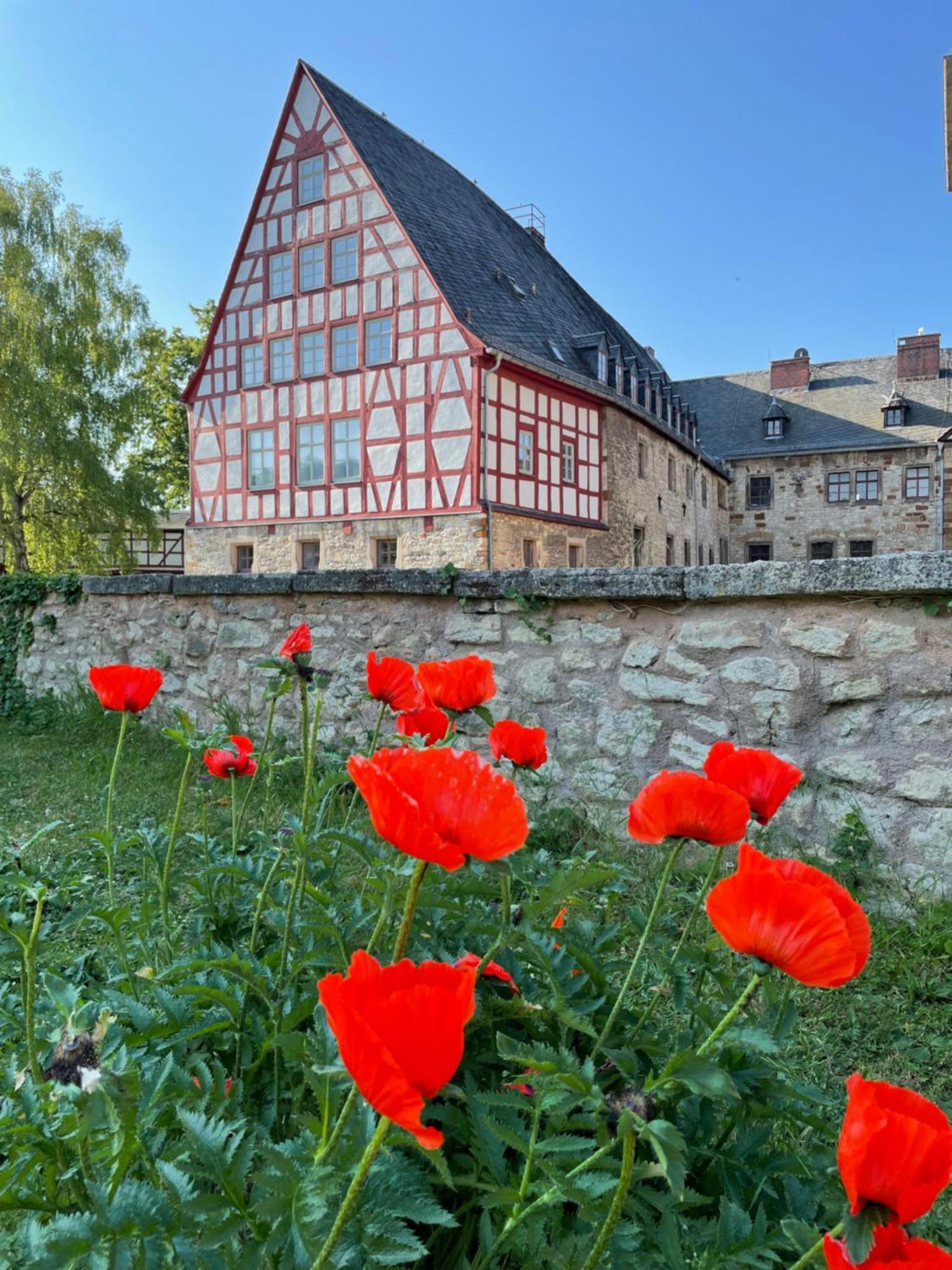 Schloss Beichlingen Buitenkant foto